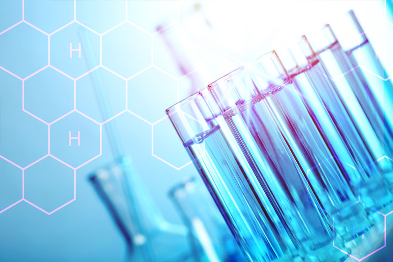 Life Sciences